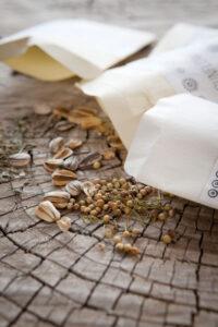 Seeds in seed packets on wooden block