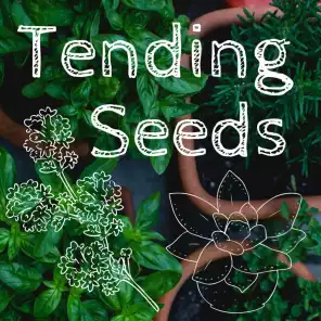 Tending Seeds logo